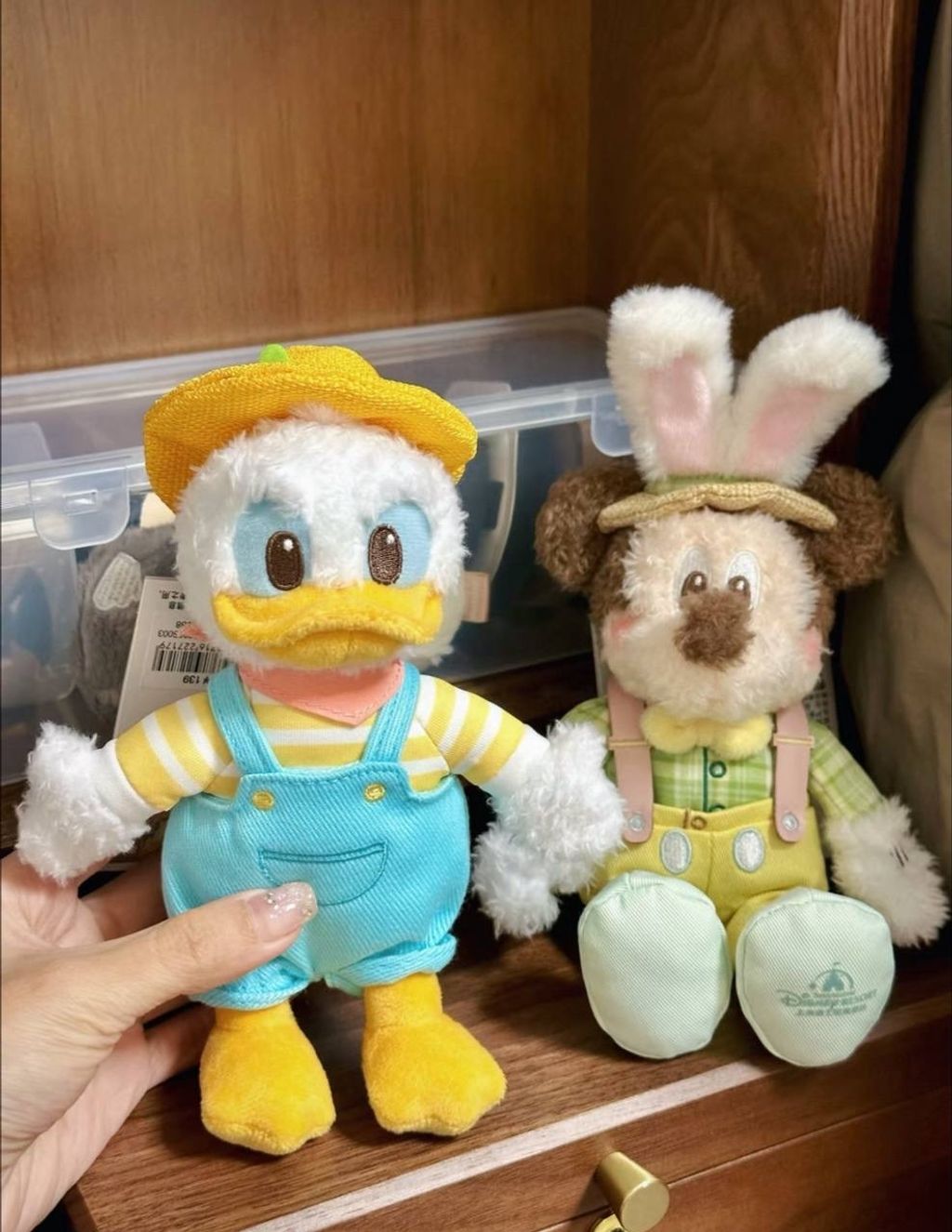 image_5598E4F5-52C9-4891-9B78-D0A85AF0FA40_1742557884