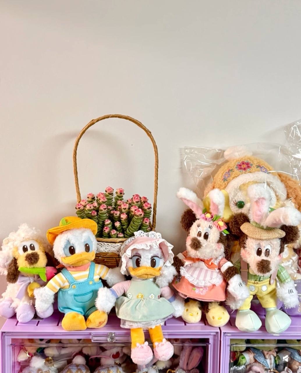 image_C35CB2CA-7BF1-408C-8EE8-D04E990758CD_1742557884