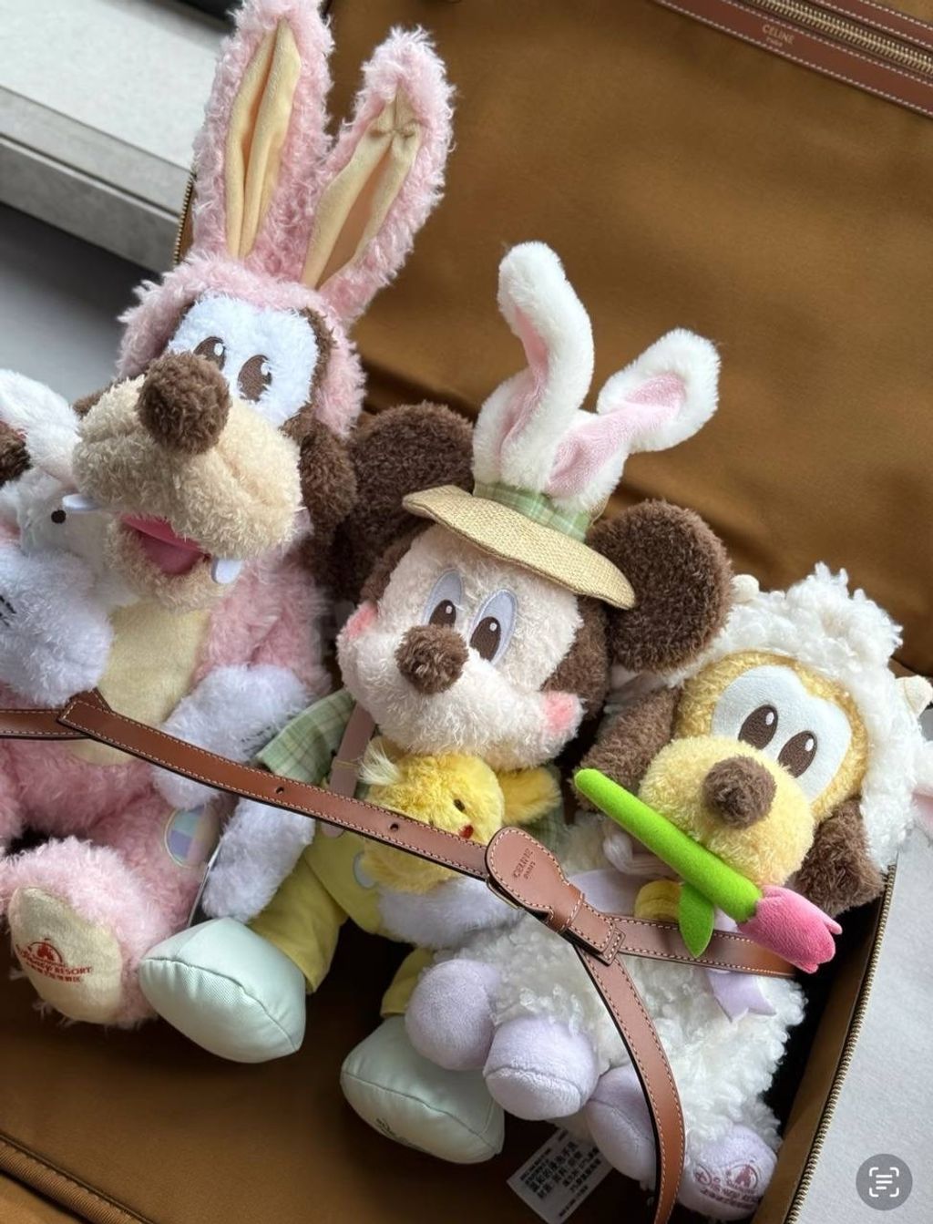 image_B3A18660-7DFF-4ECF-BAE6-1CFB846A7E6F_1742557884