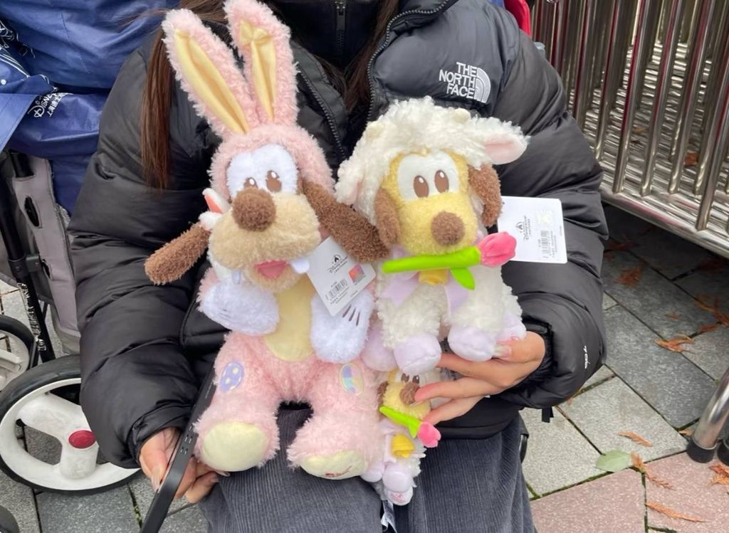 image_CE94B6ED-67EF-4625-847D-17403305DF0B_1742557884