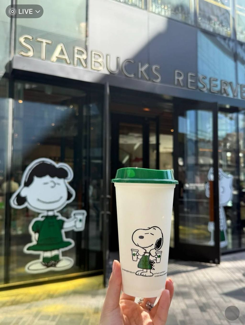 image_02B38884-F364-435C-9B81-E8CA74ABA7C5_1742739985