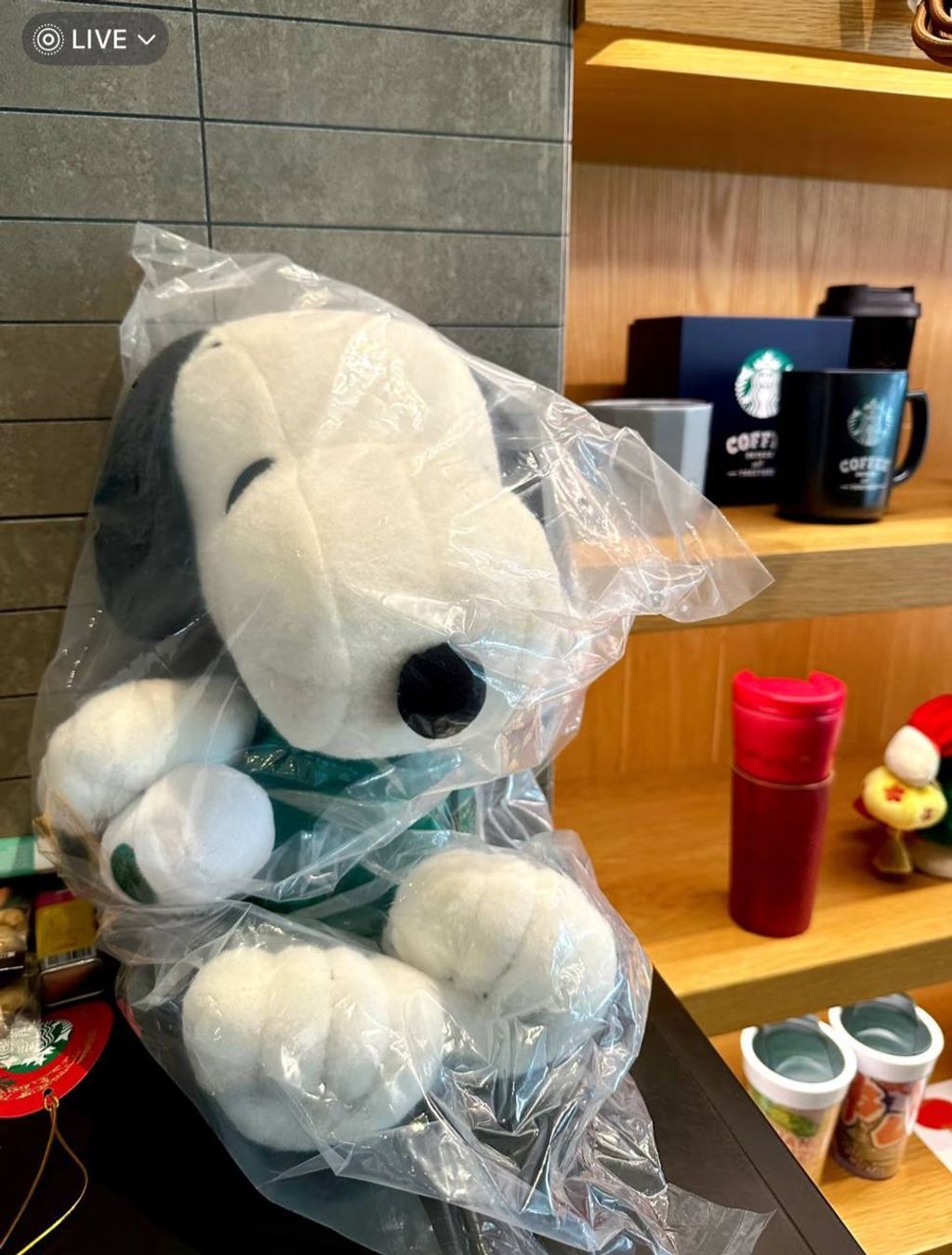 image_17713D60-1F23-4169-BDDC-B87062C9623A_1742740132