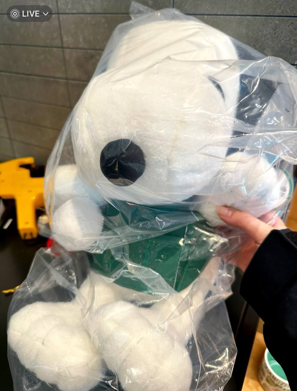 image_BCEAE8A3-08B5-461A-BE20-B629556DF011_1742740132