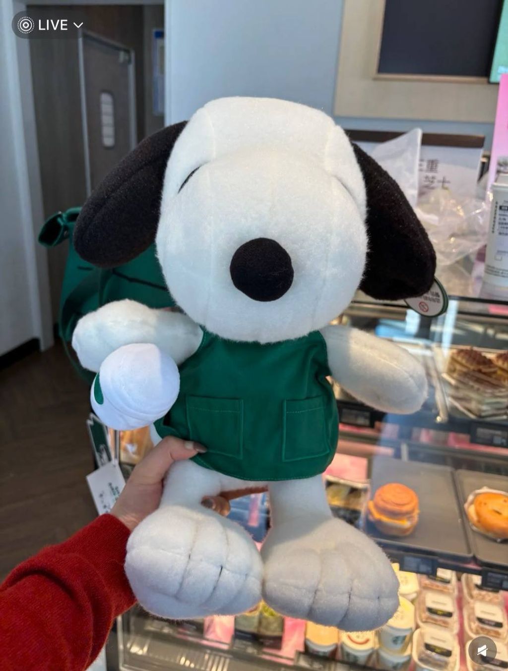 image_50343F3A-B189-47A9-8A4A-46CD49BFDB4B_1742740132