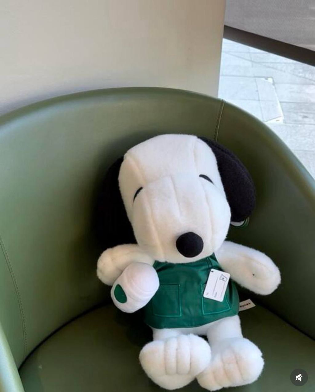 image_16C878DF-F0F1-4FEE-9D06-96D97D3159E9_1742740132