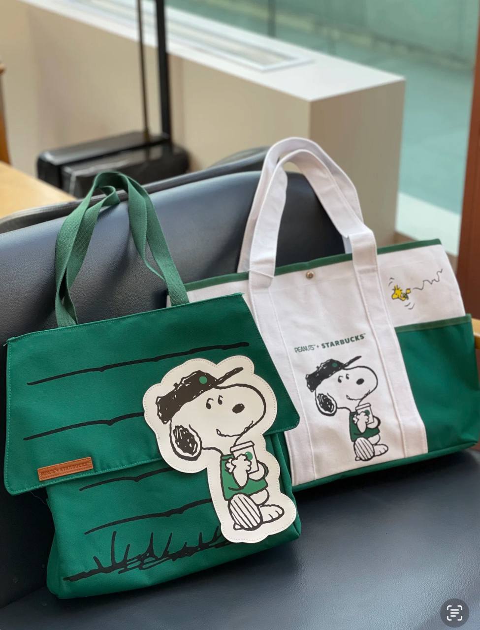 image_B428C312-A6F9-4734-990F-119C8B8213D7_1742740211