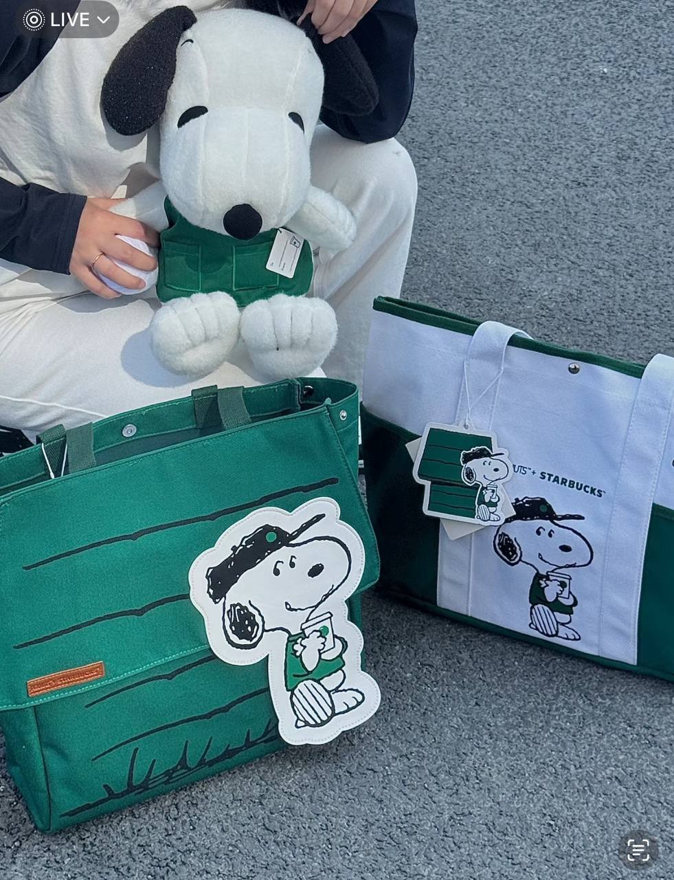 image_172387F3-885C-4E63-92D3-7553C273AD75_1742740211