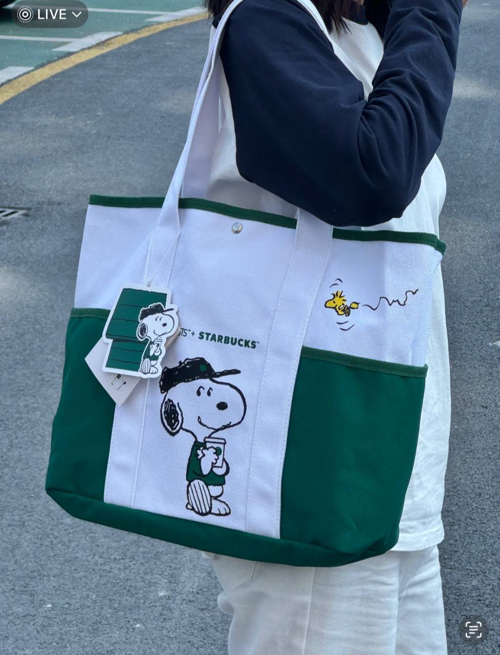 image_83ED20EC-54F8-4CE9-8352-7D73E4E2A235_1742740211