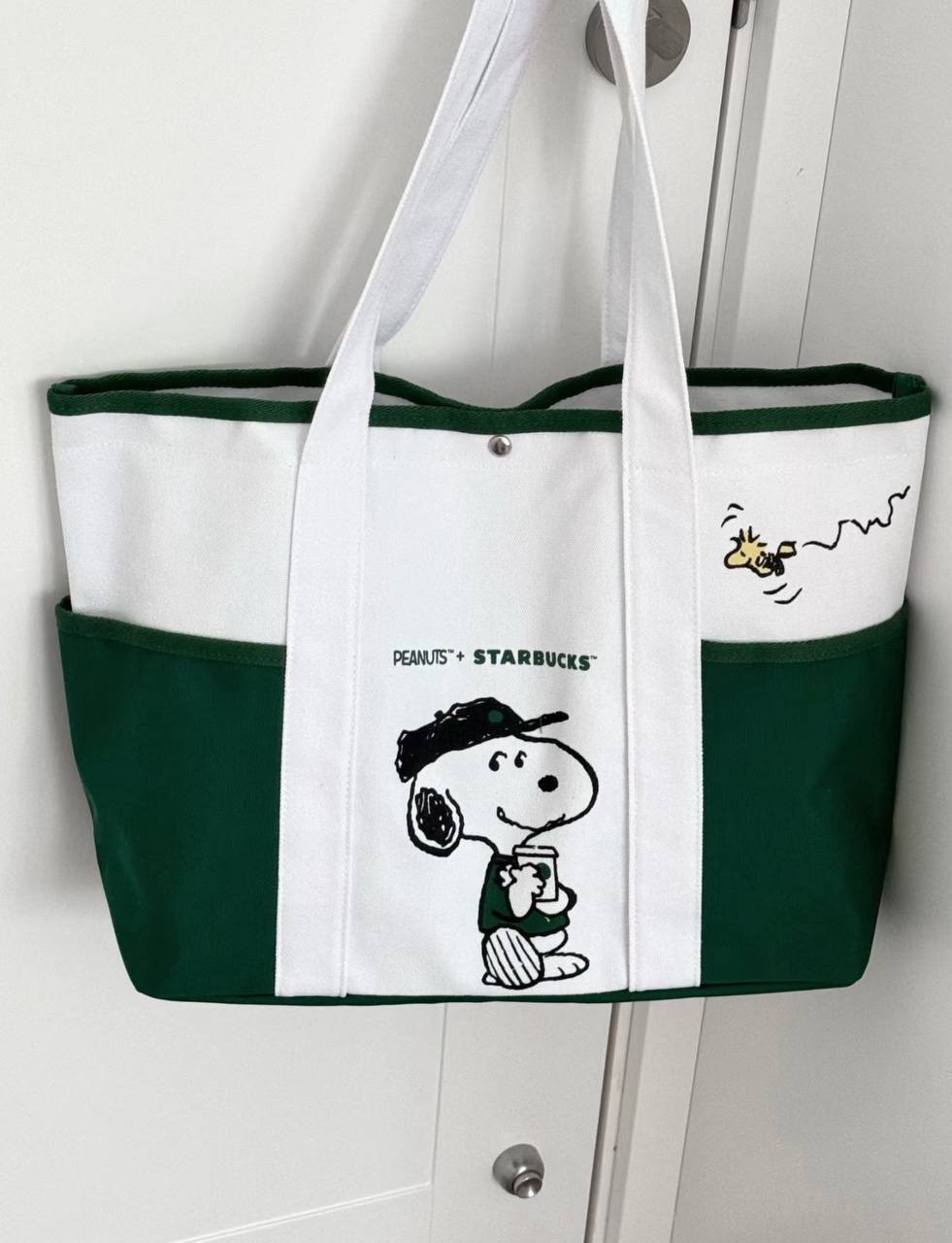 image_ACBE97DD-9E14-468F-864A-2785FA77D3FC_1742740211