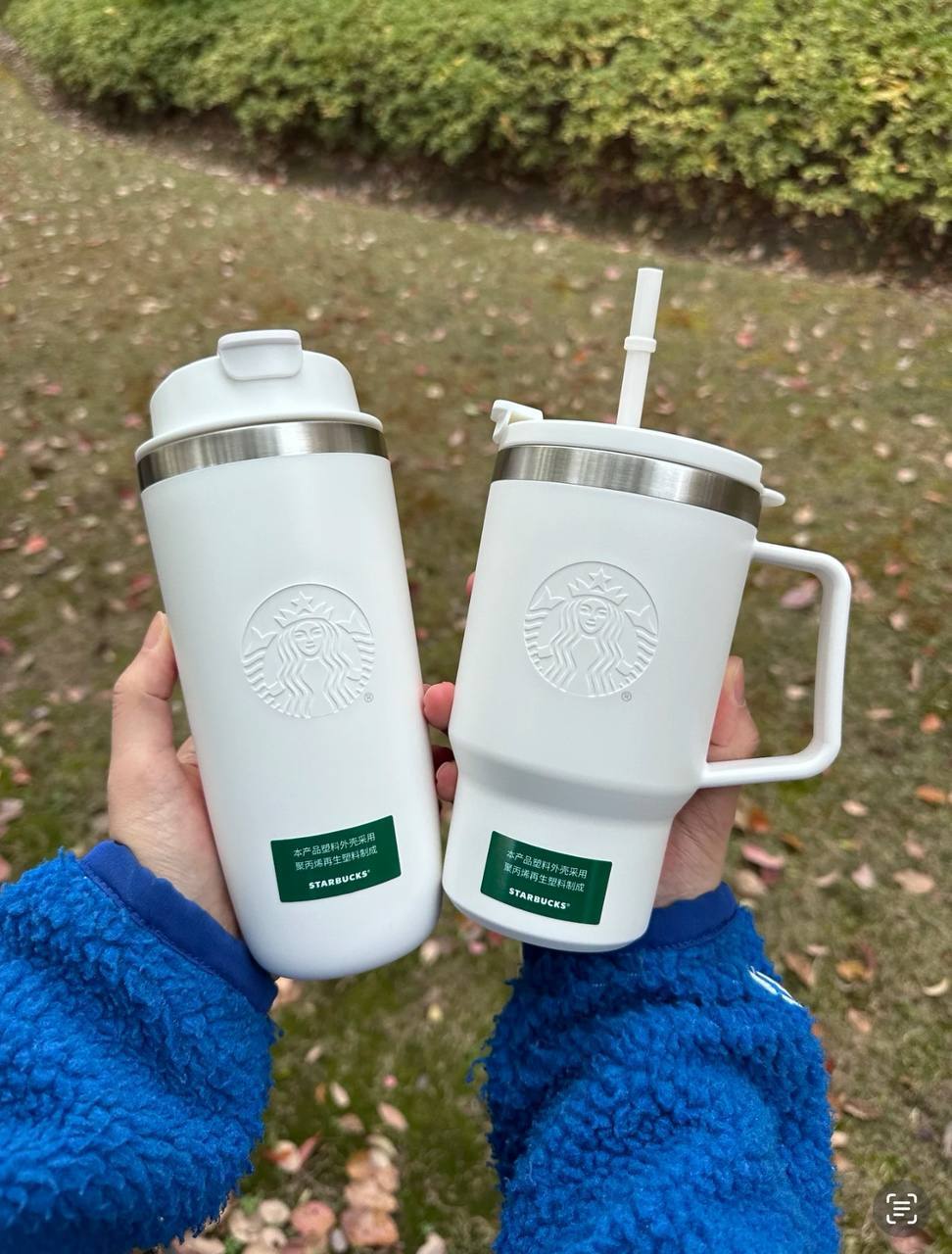 image_57DF03E1-178E-4551-A007-E71B4EBE6341_1743421380