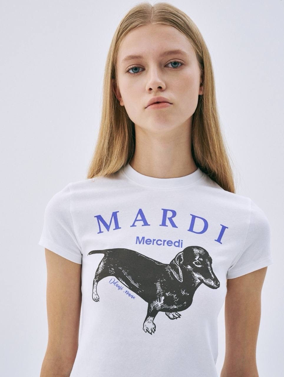 image_16E958C8-7E19-43C6-A281-A014CB33E69F_1743855046