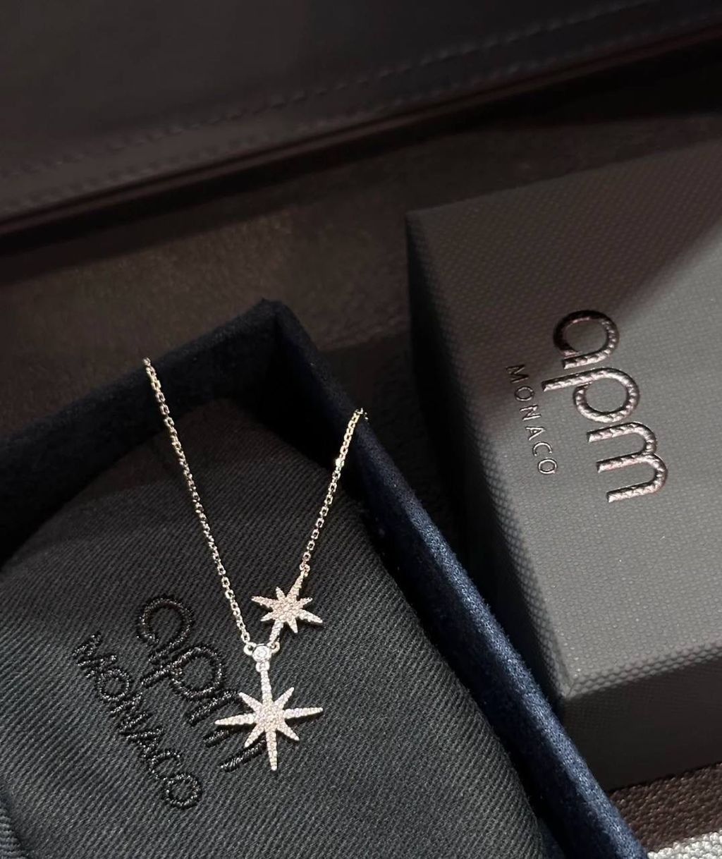 image_4E8F62DD-4995-4A8F-868D-AE4FE35A03FB_1744208746