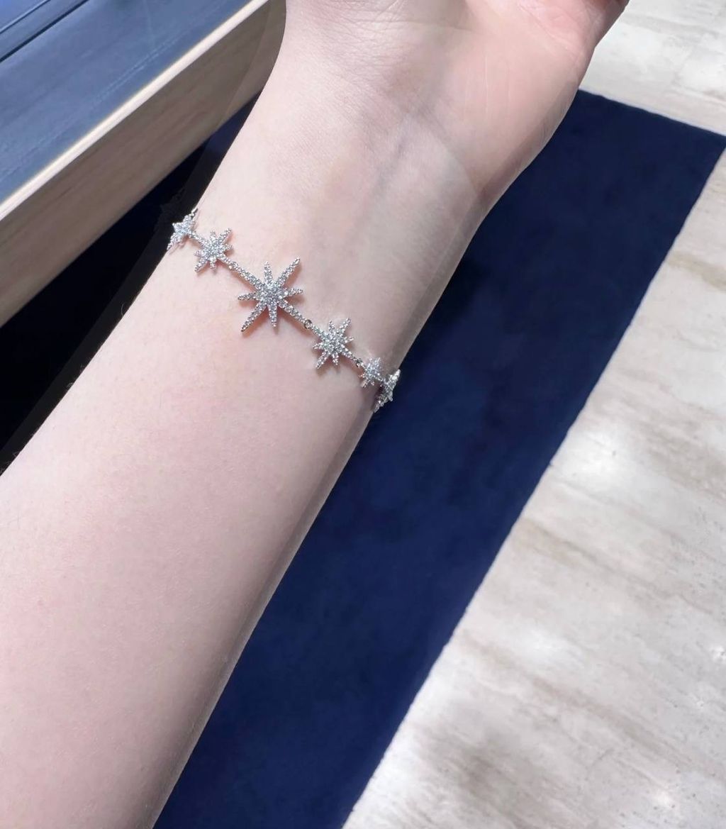 image_069C960F-EFCE-448A-B3FC-2CCCE2C07BB4_1744210426