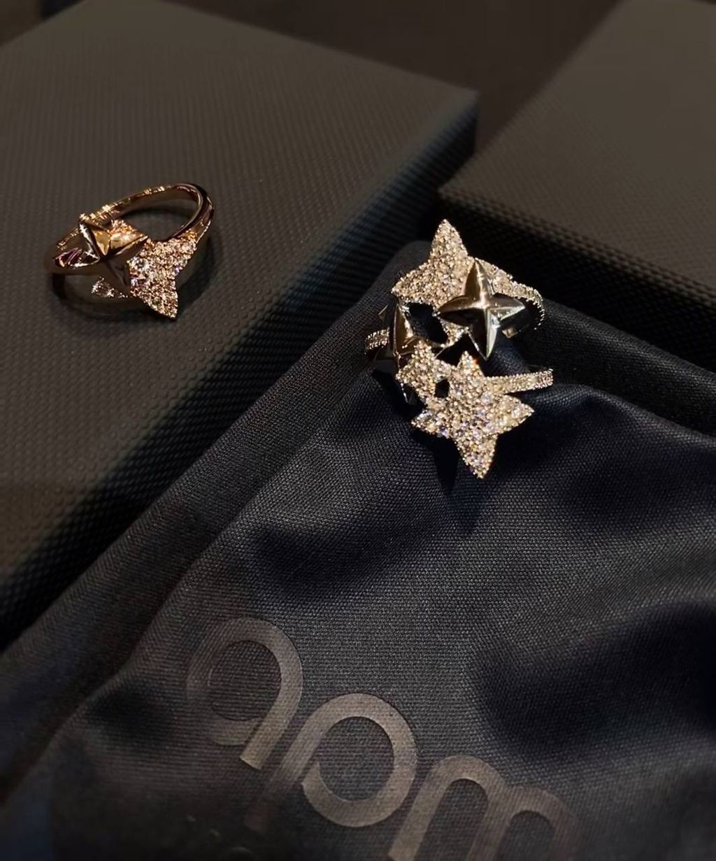 image_518EE801-581B-4F44-AF36-D56FBB0A2229_1744210508