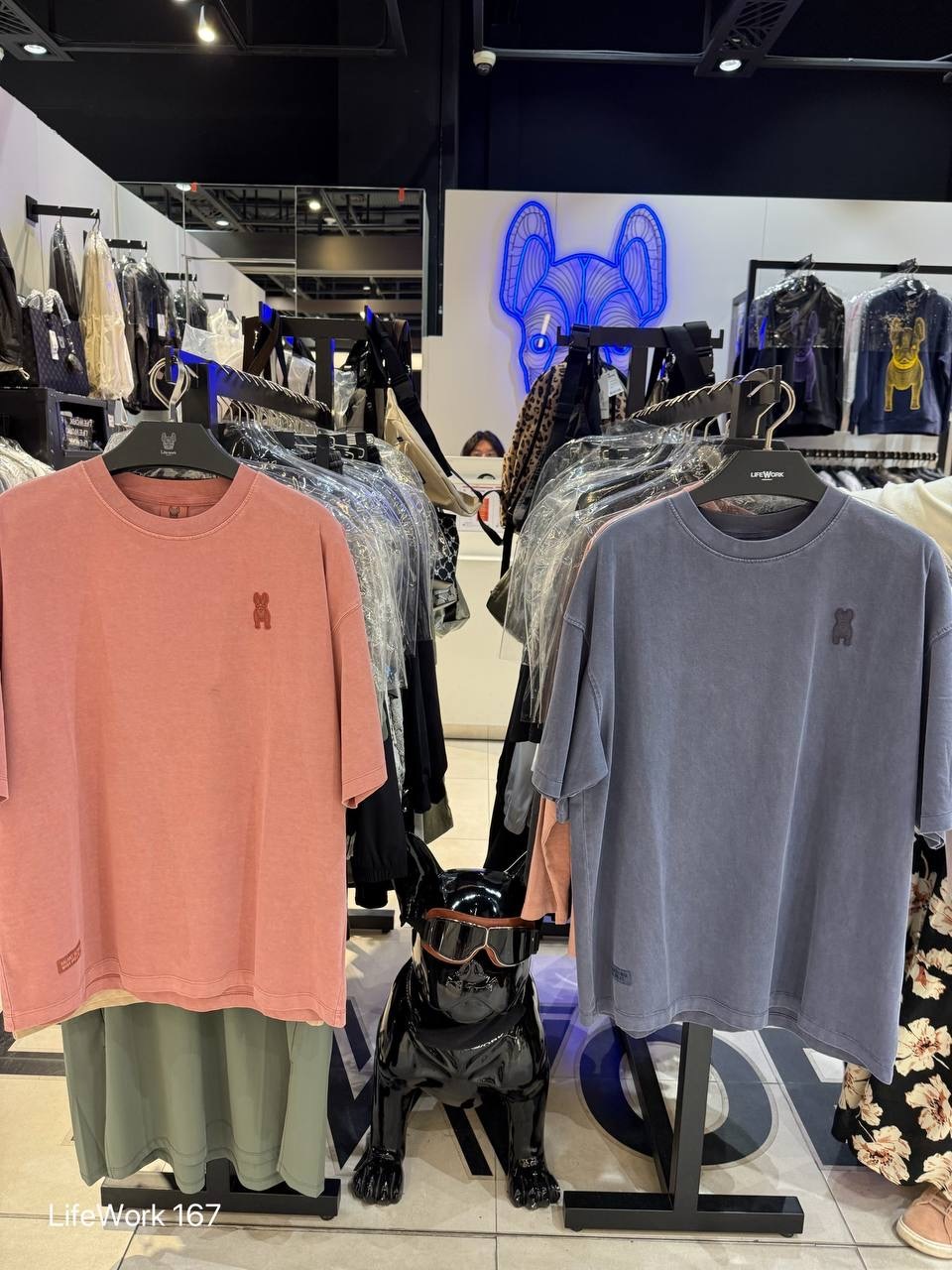 image_6BB9D555-F996-42BA-8DD9-0B9E3F37E3BF_1744372467