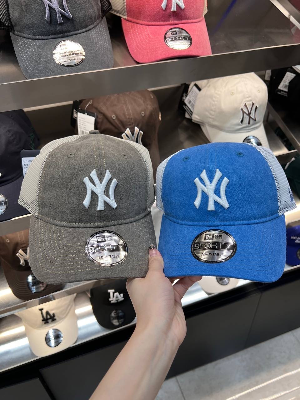 image_EB71B6E9-0CAF-4D7C-86E1-C024DB9E0FF6_1744373698