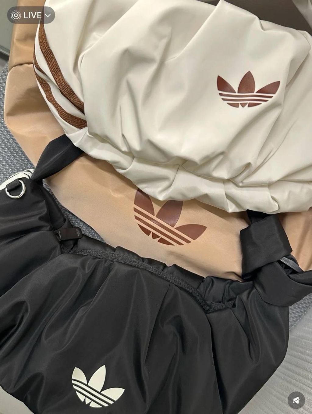 image_0B9D8D7C-F67F-4074-A403-F260A068D034_1745295494