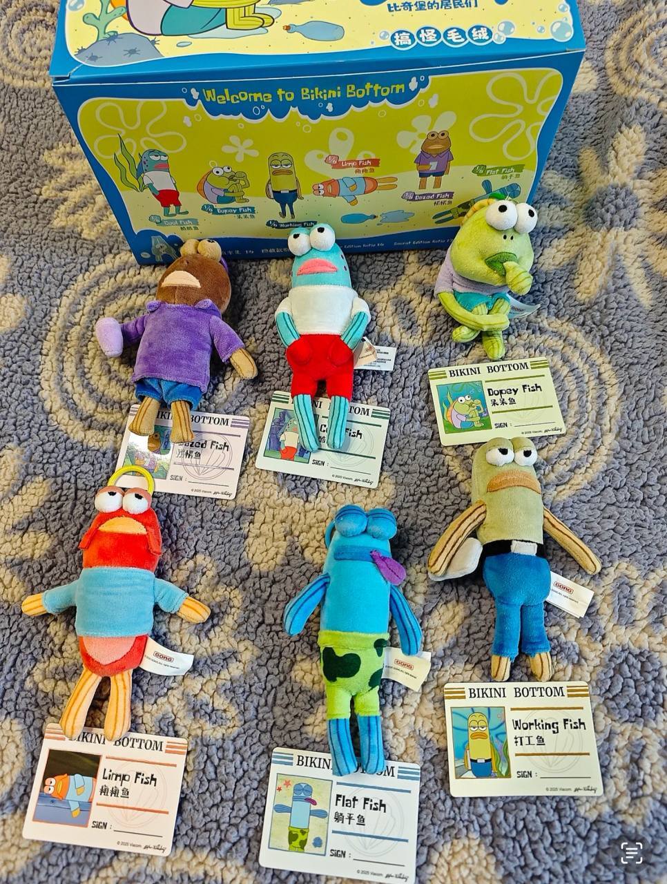 image_25C8F486-9FCB-4BCD-8E90-3E06B50F288F_1748251777