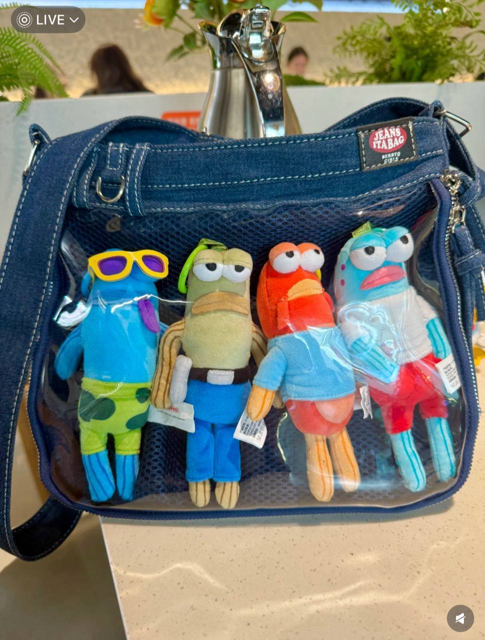 image_B6B95D2D-1B4D-4C57-9201-A46850548C47_1748251777