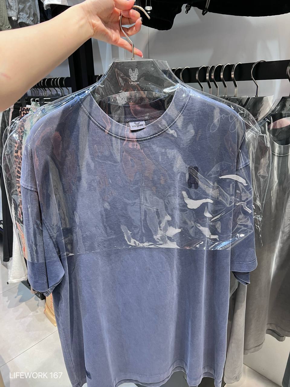 image_783F5749-8A44-438E-9E00-3B2D3216B852_1750353131