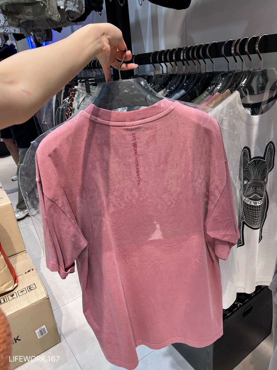 image_1C00CBB7-4174-43CD-87DF-0C9E012372E3_1750353131