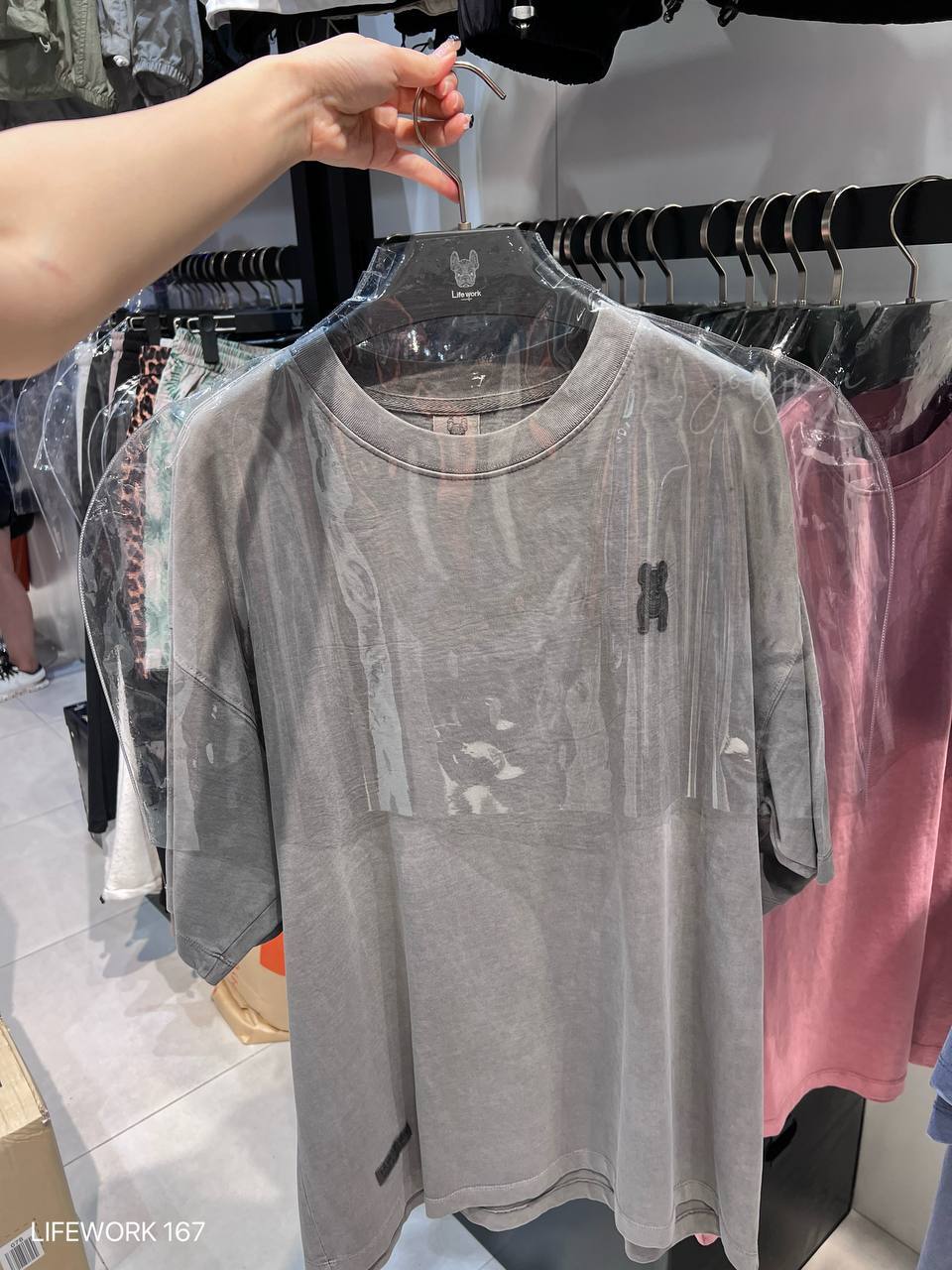 image_85531A03-54D0-4817-AA83-2B648C8C5D04_1750353131