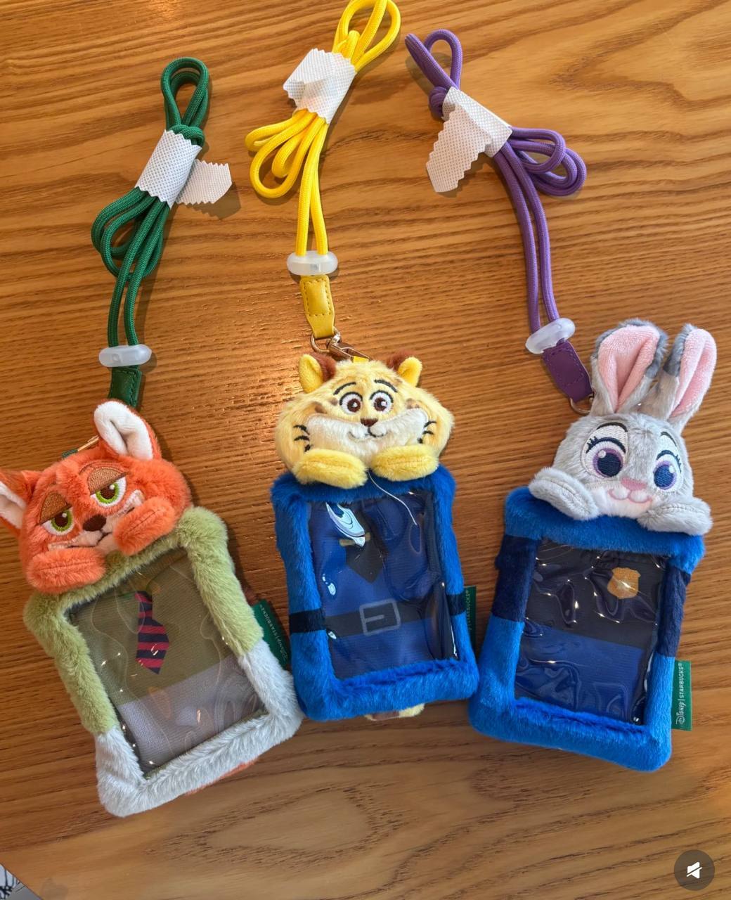 image_DD929C7A-30FA-431E-BF0D-C3EF91D2F24E_1750527356