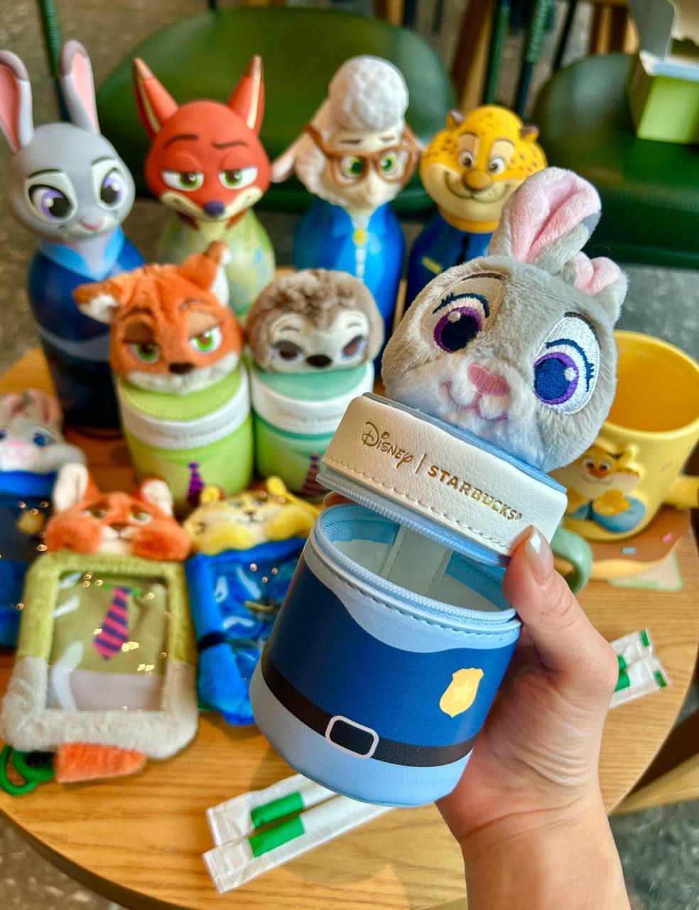 image_FCC69EA6-3EE4-444E-9ADC-F1FAA033D85F_1750527416