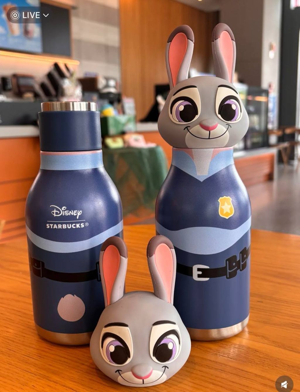 image_9877B754-94A6-4ED8-A3A3-2FBF0AC12D1A_1750527483