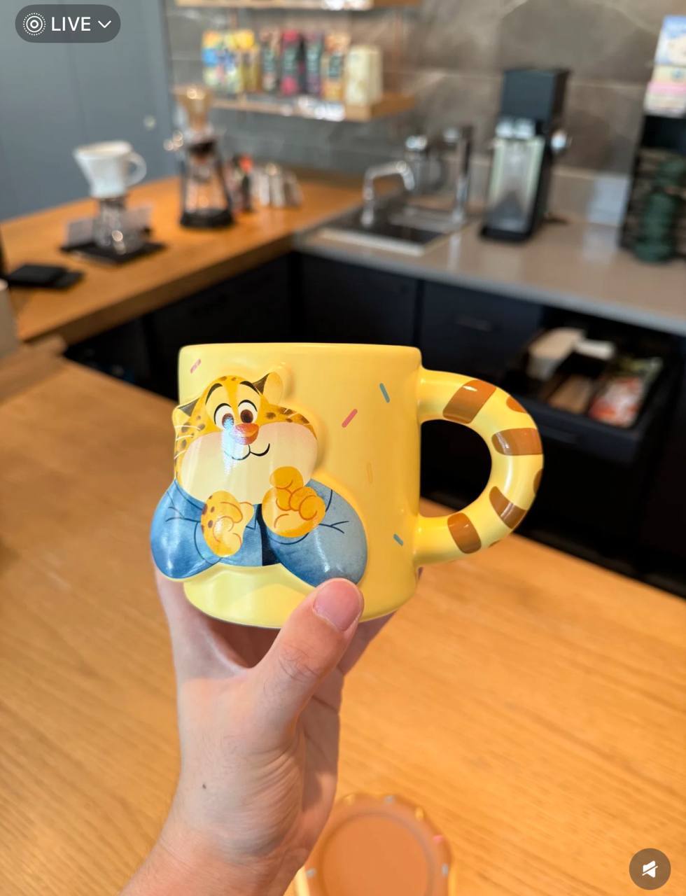 image_E865611C-C290-46E7-88D4-010B8C25EB7F_1750527600