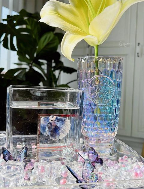 image_50BDBB0C-ACC1-4F05-A9A0-09417FC783E2_1756990853