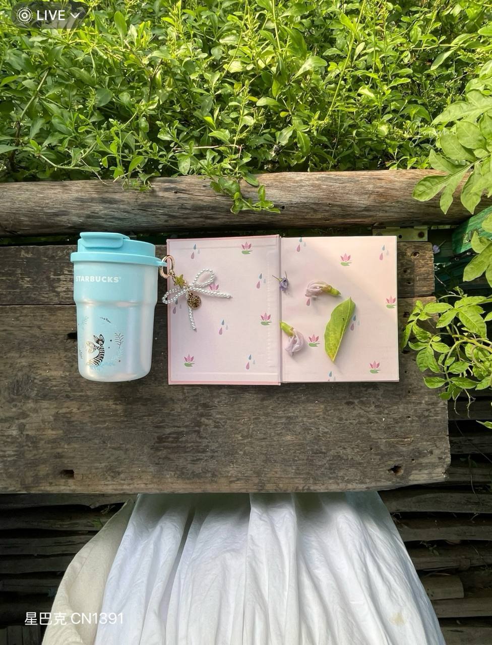 image_95F57DE7-3C9B-47A3-B659-62154159F6F7_1756991371