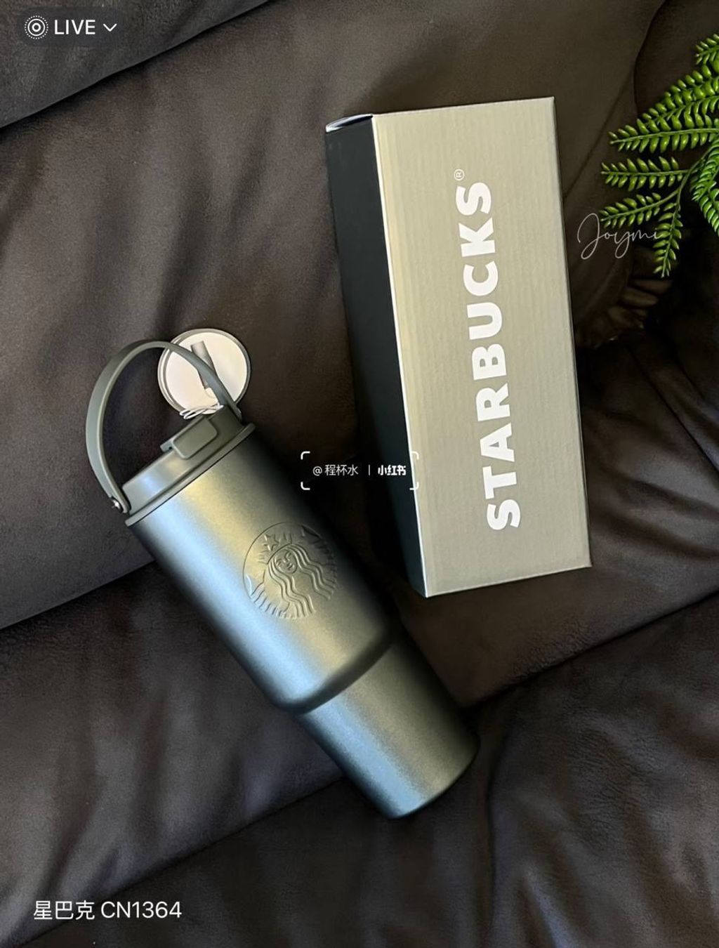 image_C8309456-F251-4169-B53D-40EAE1B1C6DB_1757003965