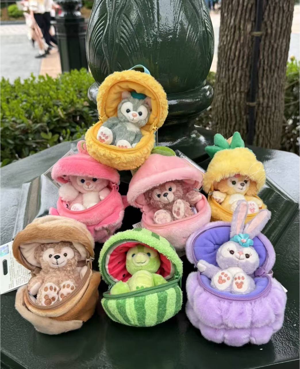 image_9B1C0857-9EBB-4B6F-922A-49D752A83C33_1757430544