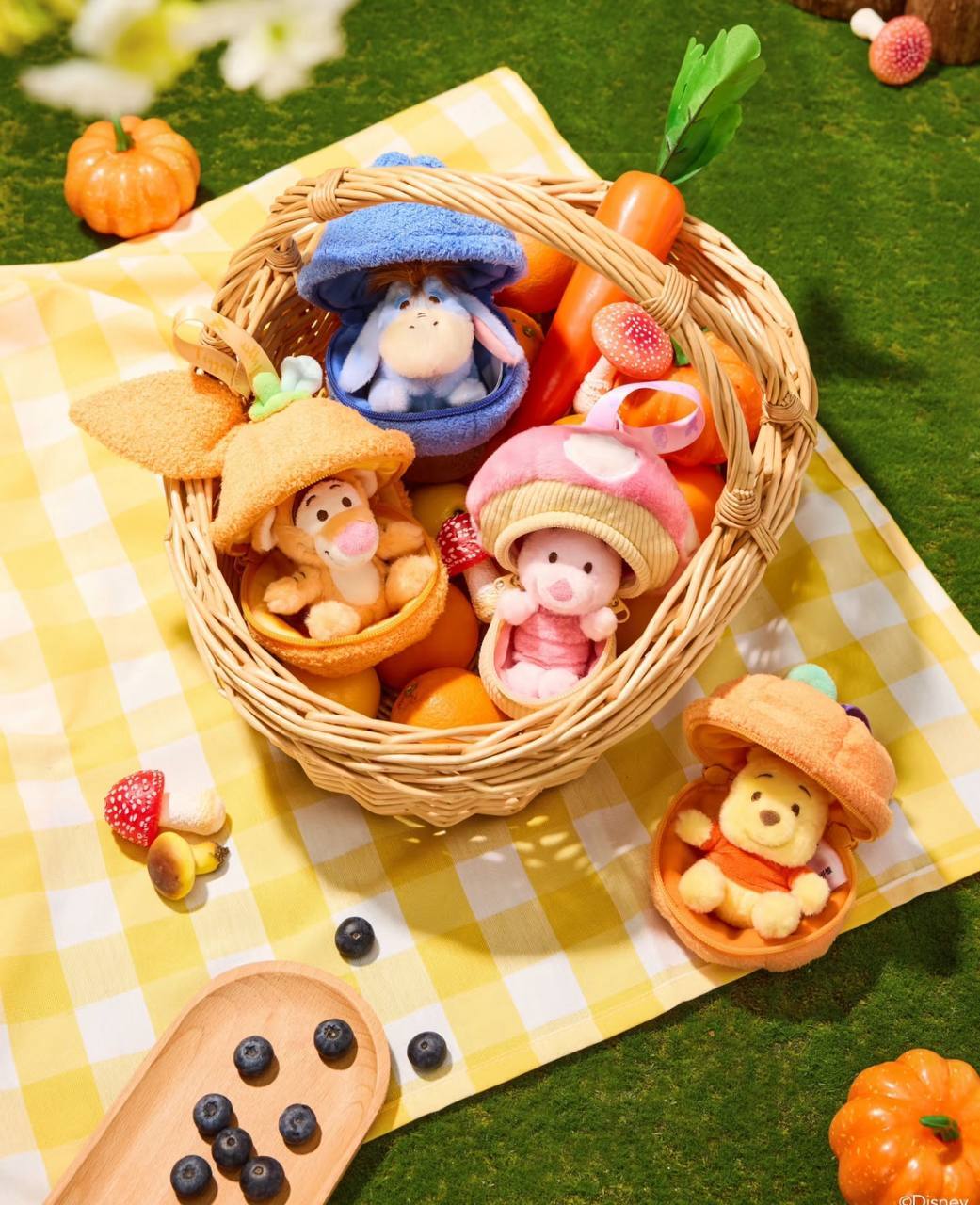 image_D204844D-2F9D-4F69-8093-29E00700338C_1757430666