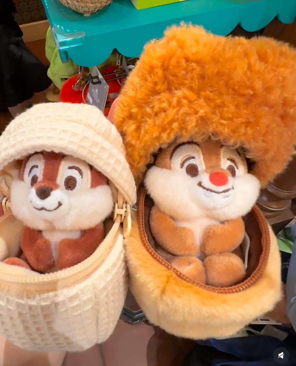 image_BEB9C806-3441-4782-A16E-C2CBAF9F41AB_1757430666