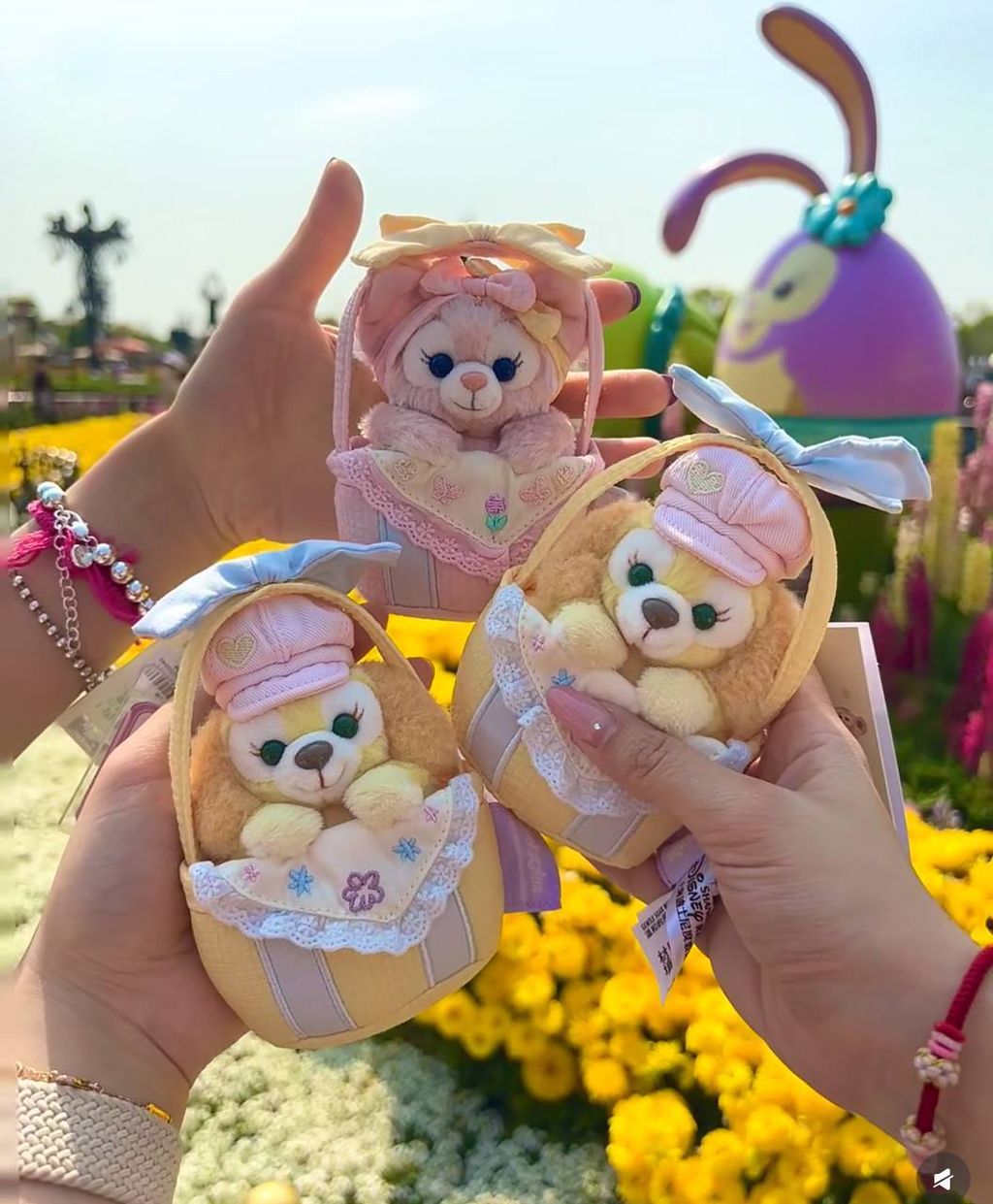 image_38E71686-E775-4E27-8AD2-CD00ACABA35A_1757430838