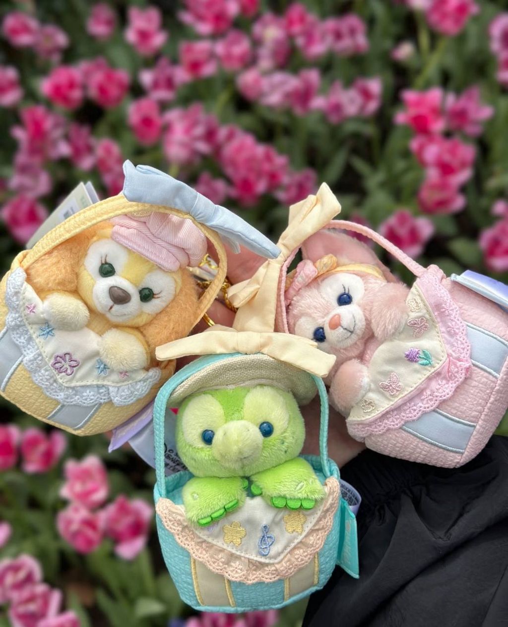 image_3C0E85F9-B352-4807-891A-5134461C3E03_1757430838