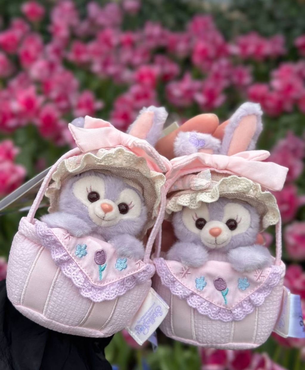 image_ACDBCAA9-DF9F-4394-94AB-BD39729D37F7_1757430838