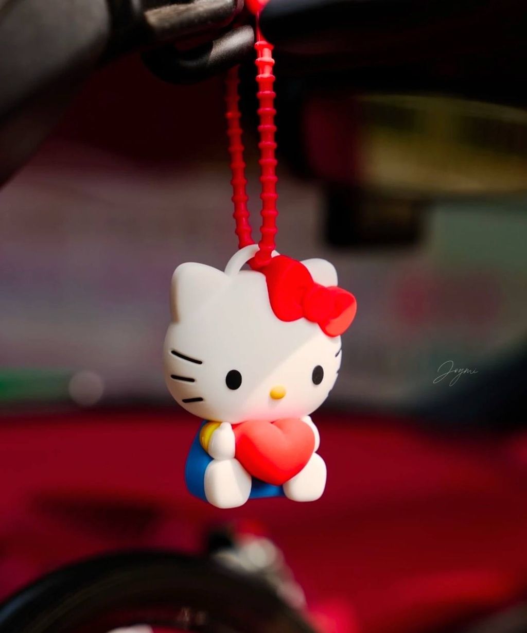 image_F1814C87-B160-4105-B432-1AD1A6A7EAE3_1758282971