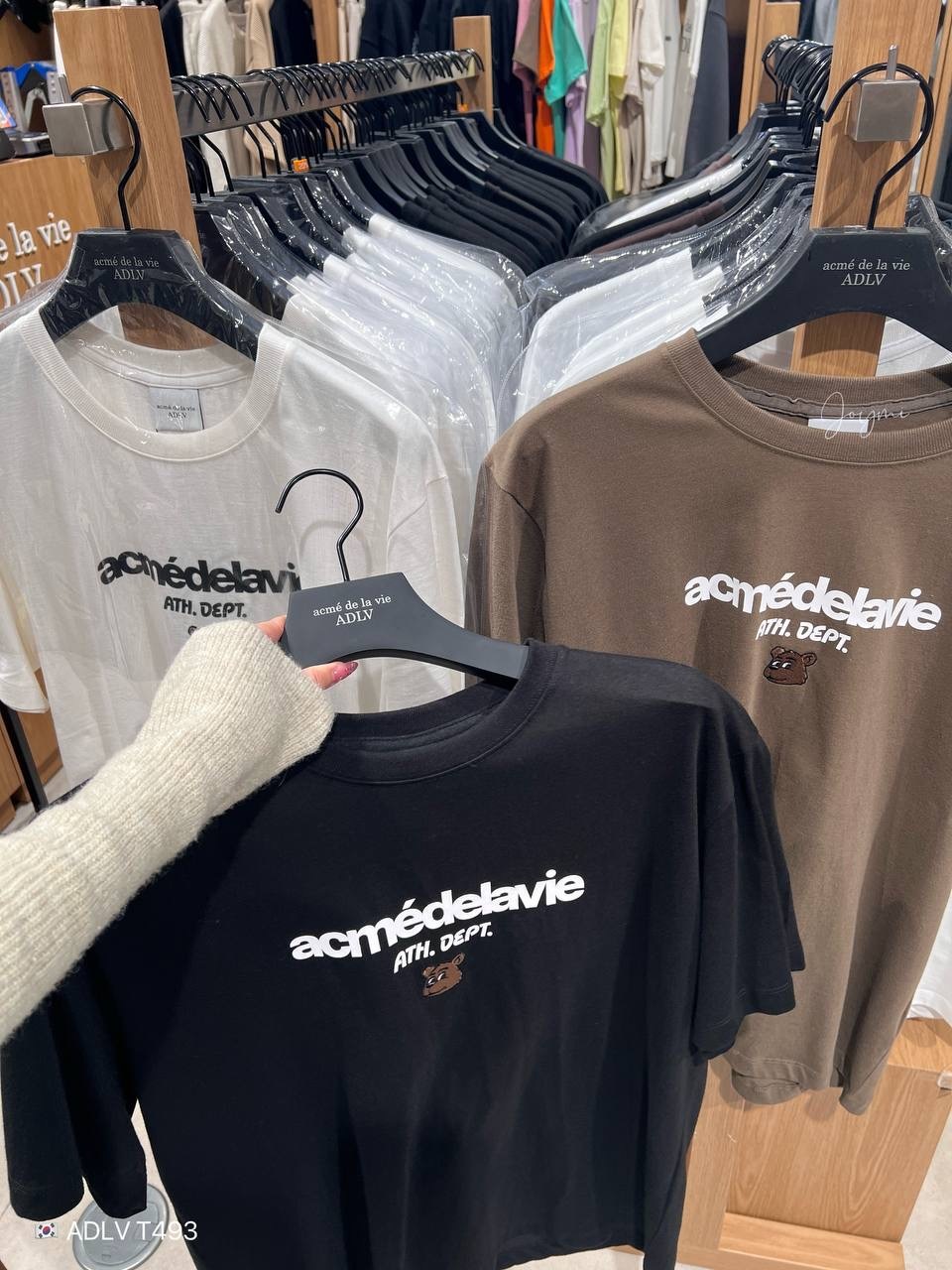 image_D53AD889-213A-4F62-8E67-EDF305777283_1758463442