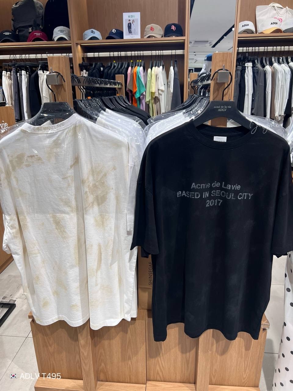 image_0D37F819-DF43-46AF-8DCC-5192DFFDAB19_1758463697