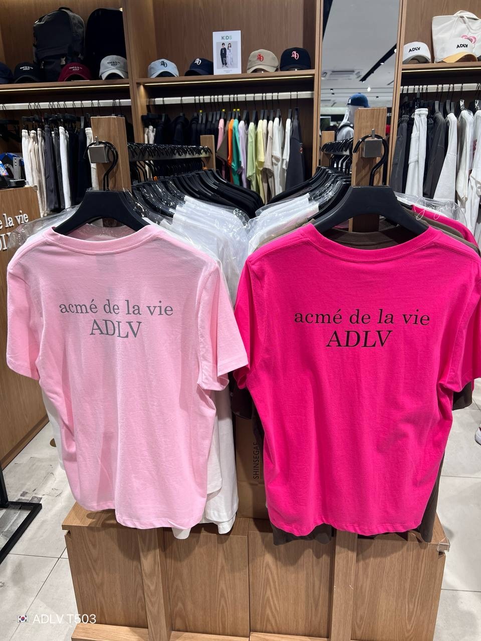 image_79AA9FF3-0E92-4445-B738-FEB0585C1415_1758464580