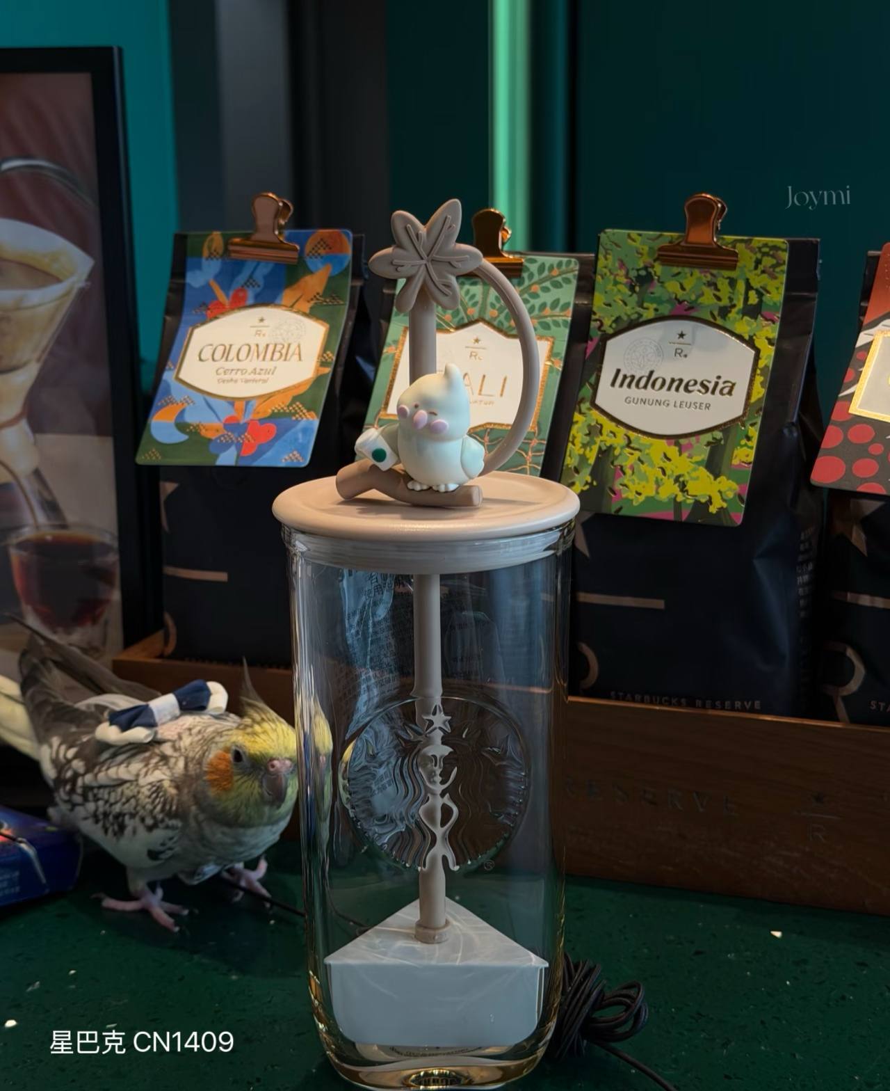 image_FA29CC2E-8845-4CBF-A618-56DC99DA9578_1759297379