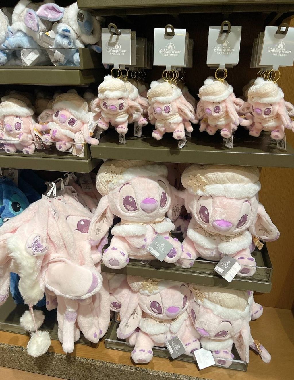 image_05F1D477-BA56-45F5-90DC-22F73272040F_1760439839