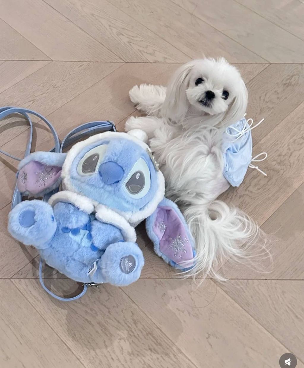 image_219B4C33-77C6-4402-AAFA-DA0DADC0E6A5_1760439920