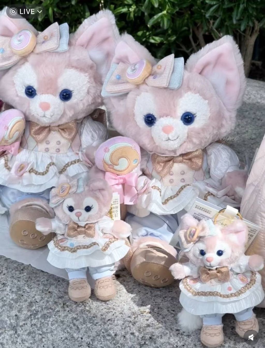 image_B4565434-8DDC-48C0-A7C1-57840F5A79C3_1760440194