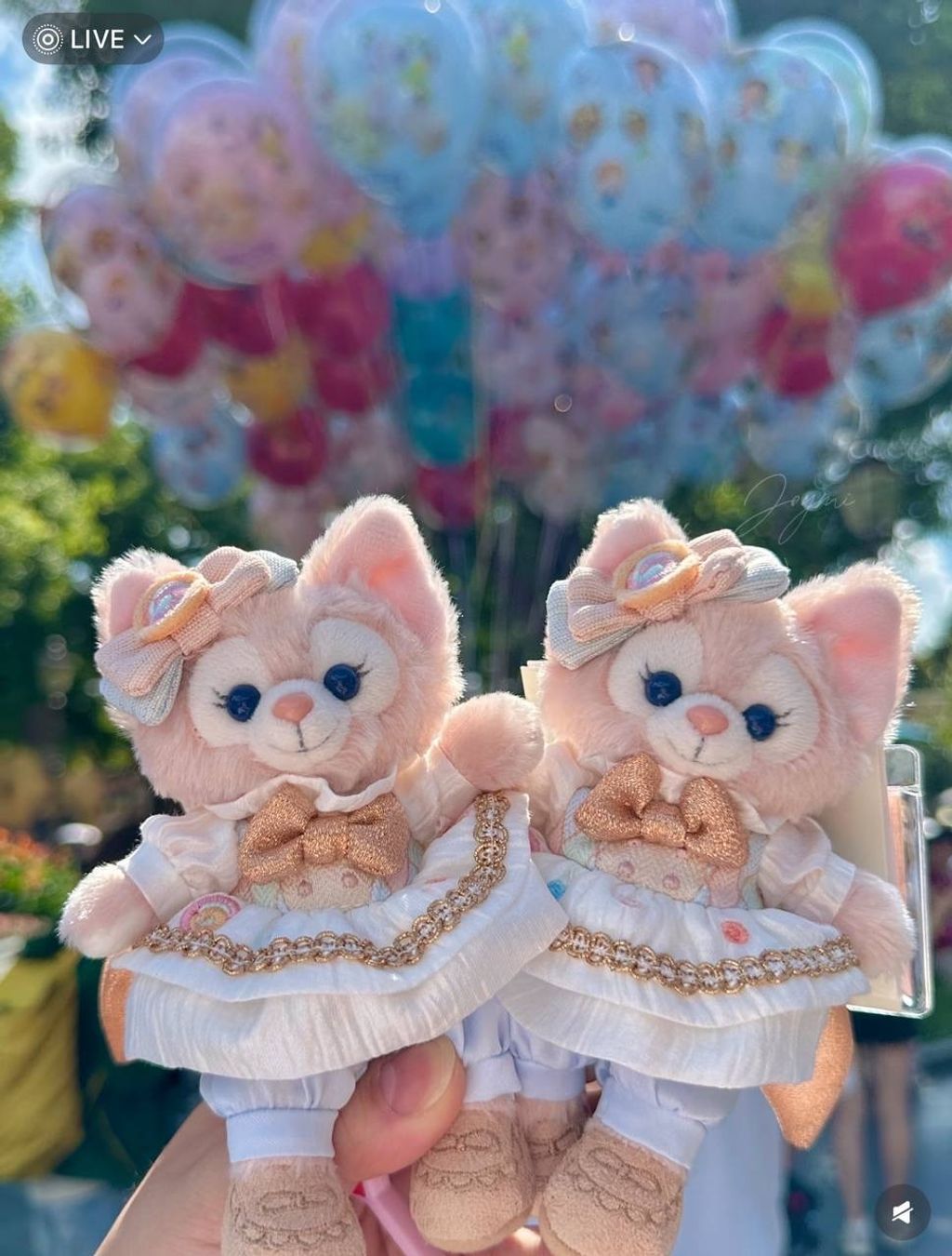 image_F1CE55AB-A5BE-4093-9A15-1F6F3F329CFD_1760440194