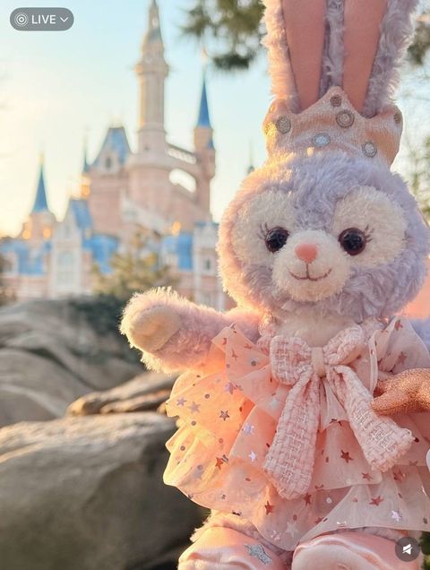 image_031DEC47-F8A3-4535-AE13-08C72414809D_1760440345