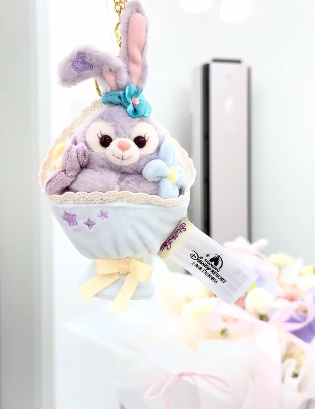 image_1B25EAF7-C837-4D94-B8D5-B0273BFEFA72_1760440456